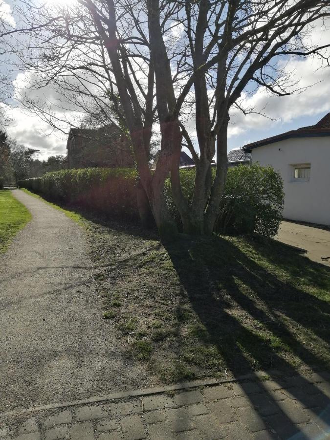 Fewo Nr 3 Sahlenburg Mit Eigener Terasse. 800mtr Vom Apartment *